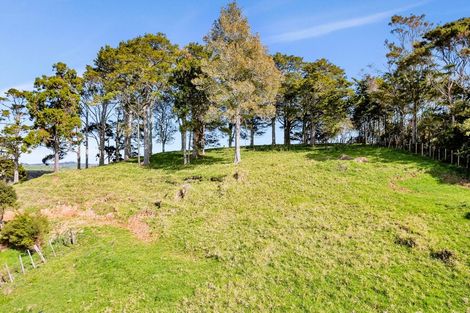 Photo of property in 251 Griffin Road, Maungaturoto, 0583