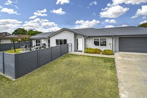 Photo of property in 902 Florence Street, Raureka, Hastings, 4120