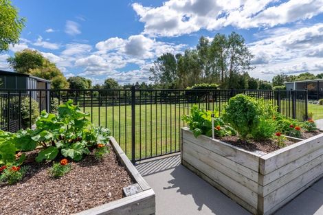 Photo of property in 66 Devine Road, Tamahere, Hamilton, 3283