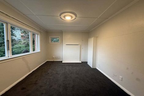 Photo of property in 125 Maclaggan Street, Dunedin Central, Dunedin, 9016