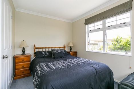 Photo of property in 41 Palmbrook Avenue, Havelock North, 4130
