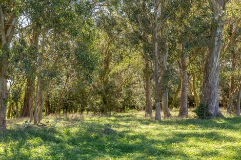 Photo of property in 357a Kahutara Road, Kahutara, 5771