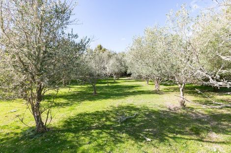 Photo of property in 21 Eagle Street, Waipawa, 4210