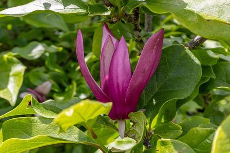 Photo of property in 19 Plantation Road, Rangiriri, Te Kauwhata, 3782