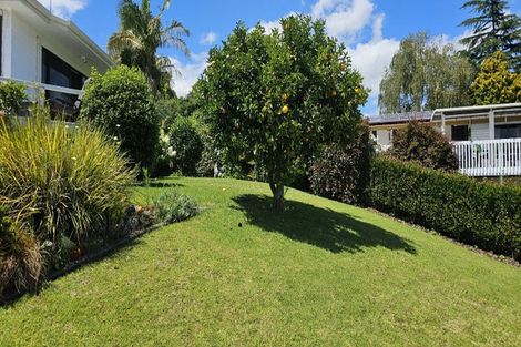 Photo of property in 90 Haukore Street, Hairini, Tauranga, 3112