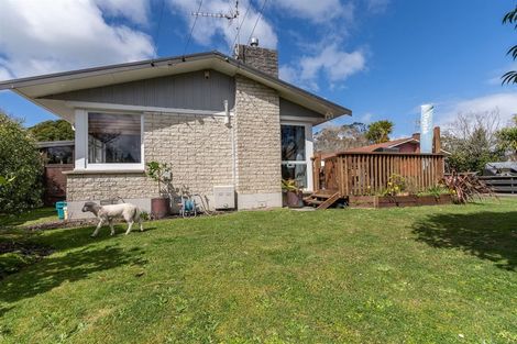 Photo of property in 17 Macmurdo Avenue, Glenview, Hamilton, 3206