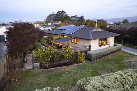 Photo of property in 25 Anglesea Street, Renwick, 7204