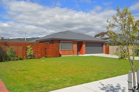 Photo of property in 13 Messines Avenue, Trentham, Upper Hutt, 5018