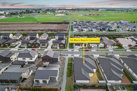 Photo of property in 18 Black Beech Crescent, Takanini, 2110