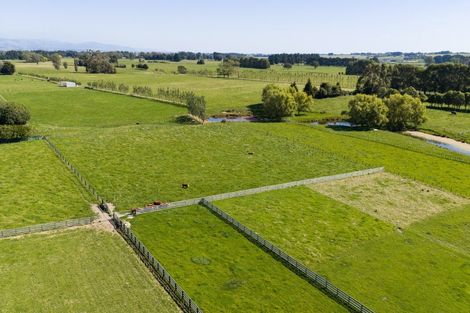 Photo of property in 89 Ulysses Road, Ashhurst, Palmerston North, 4470