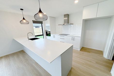 Photo of property in 6 Kildare Street, Belfast, Christchurch, 8051