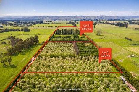 Photo of property in 179 Bidwills Cutting Road, Morison Bush, Greytown, 5794