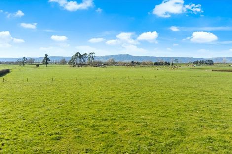 Photo of property in 4772 State Highway 29, Matamata, 3473