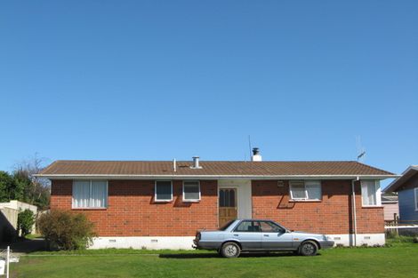 Photo of property in 12 Fergusson Street, Marton, 4710