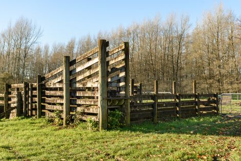 Photo of property in 48 Belk Road South, Omanawa, Tauranga, 3173