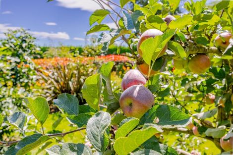 Photo of property in 112a Mount Herbert Road, Waipukurau, 4200
