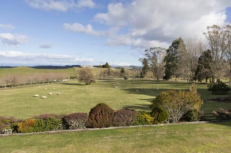 Photo of property in 558 Palmer Mill Road, Wairakei, Taupo, 3384