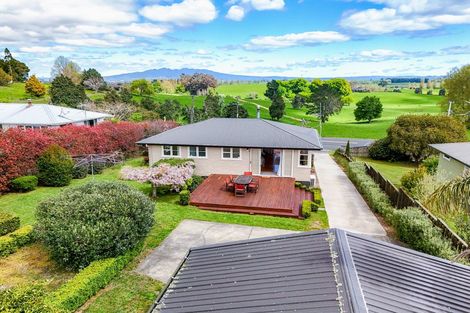 Photo of property in 3987 Ohaupo Road, Ohaupo, 3881