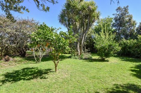 Photo of property in 7 Philip Street, Carterton, 5713