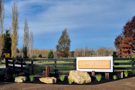 Photo of property in 46 Copper Beech Road, Woodend, 7610