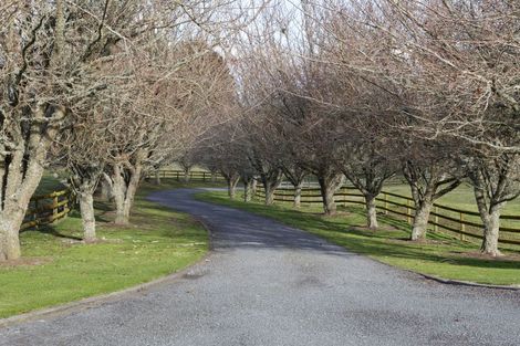 Photo of property in 558 Palmer Mill Road, Wairakei, Taupo, 3384