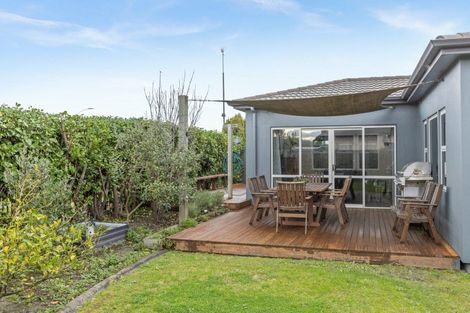 Photo of property in 113 Hunter Drive, Awatoto, Napier, 4110