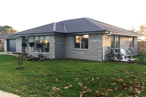 Photo of property in 8a Moore Street, Leamington, Cambridge, 3432