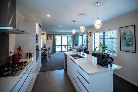 Photo of property in 41 Stan Heather Drive, Glenview, Hamilton, 3206