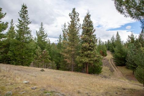 Photo of property in 110 Letts Gully Road, Letts Gully, Alexandra, 9393