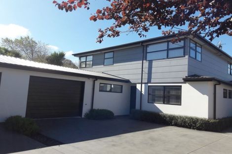Photo of property in 40c Hutcheson Street, Sydenham, Christchurch, 8023