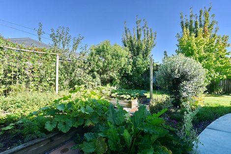 Photo of property in 68 Belmont Avenue, Rangiora, 7400