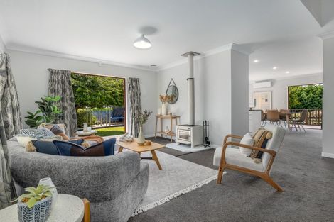 Photo of property in 461 Tararua Road, Levin, 5571