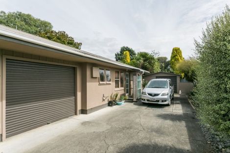 Photo of property in 51b Mcgrath Street, Napier South, Napier, 4110