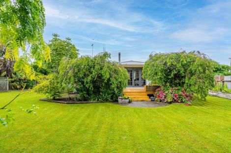 Photo of property in 95 Cockburn Street, Kuripuni, Masterton, 5810