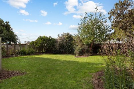 Photo of property in 29 Weld Street, Blenheim, 7201