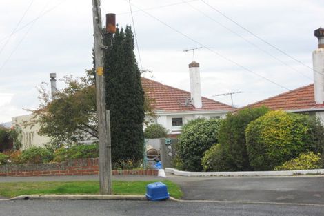 Photo of property in 12 Lisburn Avenue, Caversham, Dunedin, 9012