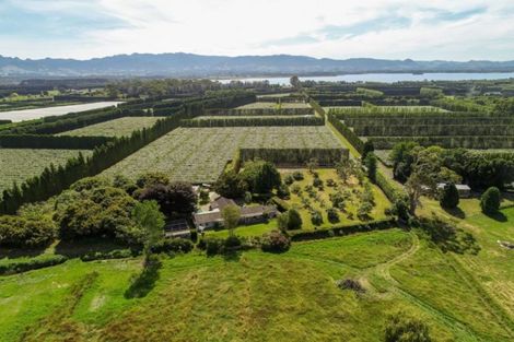 Photo of property in 380b Matahui Road, Aongatete, Katikati, 3181