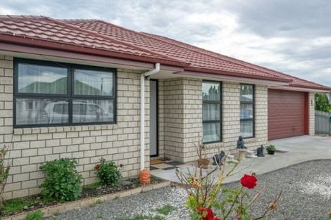 Photo of property in 17 Elzy Street, Blenheim, 7201