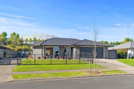 Photo of property in 23 Blacklock Road, Pyes Pa, Tauranga, 3112