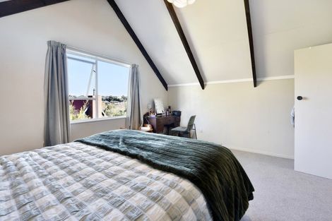 Photo of property in 17 Hunter Avenue, Richmond, 7020