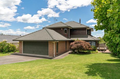 Photo of property in 117 Haukore Street, Hairini, Tauranga, 3112