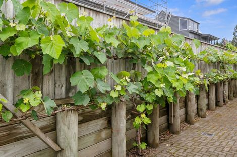 Photo of property in 149a Otonga Road, Springfield, Rotorua, 3015