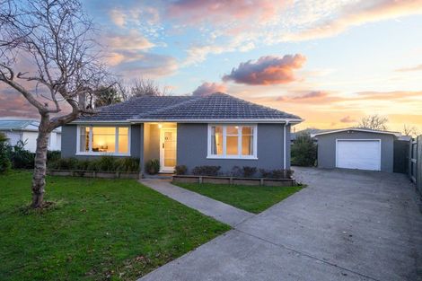Photo of property in 39 Church Street, Awapuni, Palmerston North, 4412