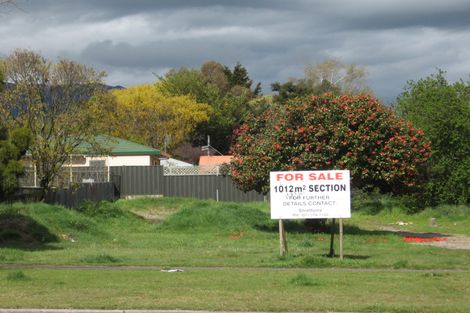 Photo of property in 49 Kaimanawa Street, Taupo, 3330