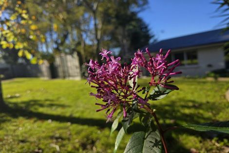 Photo of property in 67 Fifteenth Avenue, Tauranga South, Tauranga, 3112