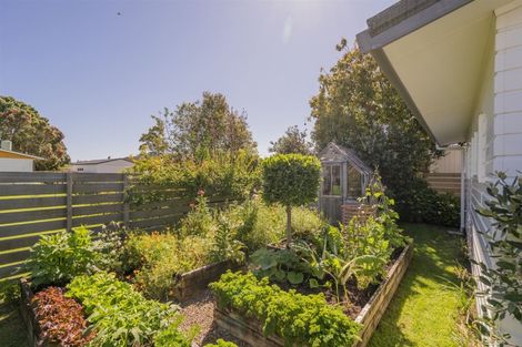 Photo of property in 65 Robinson Road, Whitianga, 3510