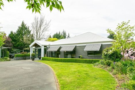 Photo of property in 40 Keenans Road, Newland, Ashburton, 7772