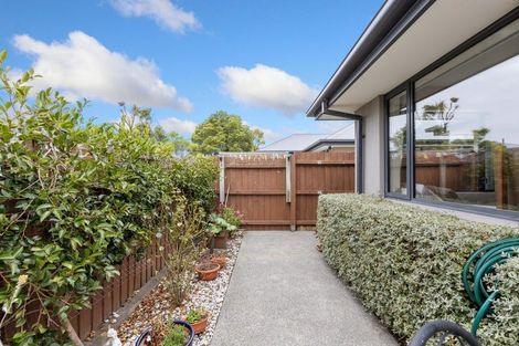 Photo of property in 39d Harrison Street, Mairehau, Christchurch, 8013