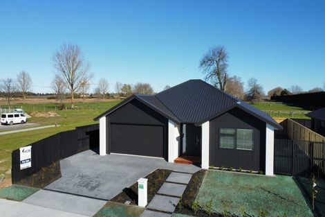 Photo of property in 62 Tokotoko Parade, Matamata, 3400