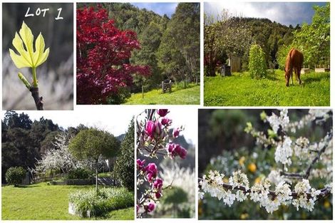 Photo of property in 540 Kawakawa-orere Road, Orere Point, Papakura, 2585